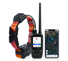Ошейник Artelv Tracker