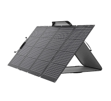 Солнечная панель EcoFlow 220W