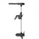 Лодочный электромотор Haswing Protruar 5.0 24V