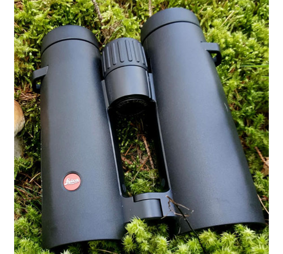 Бинокль Leica Noctivid 8x42