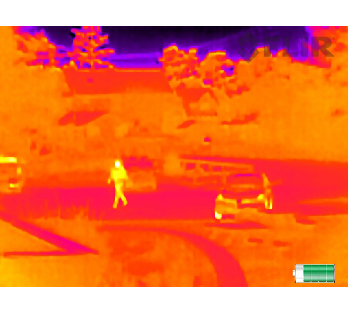 Тепловизор для охоты FLIR Scout TK