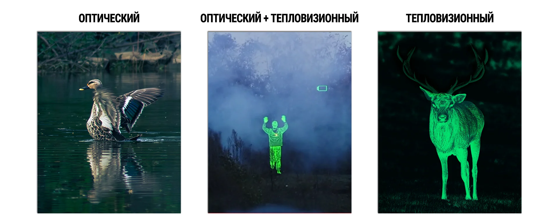 Режимы работы iray fast fal